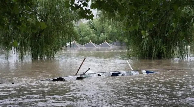 1692582319461021.jpg 1692582319461021.jpg