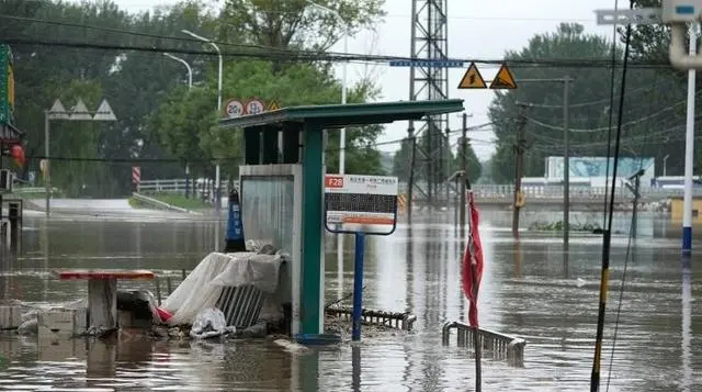 1692582319629418.jpg 1692582319629418.jpg